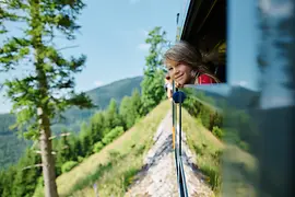 Schneebergbahn, Salamander train