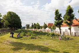 Augarten Vienna: The community garden is carefully maintained