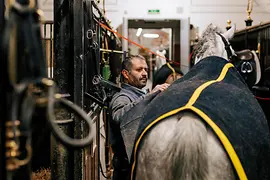 Spanische Hofreitschule
