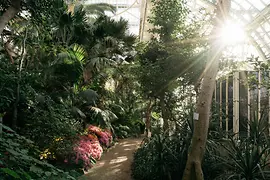 Palm House in Schönbrunn