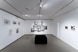 Wiener Aktionismus Museum, vista de la exposición