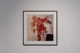 Wiener Aktionismus Museum, vista de la exposición