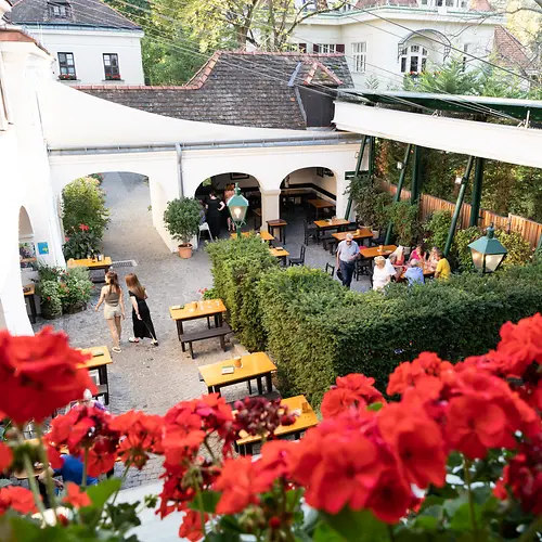 Wine tavern