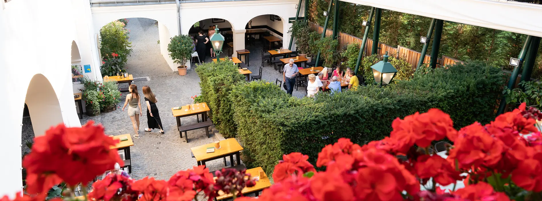 Wine tavern