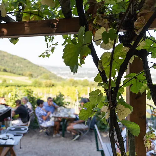 Wine tavern