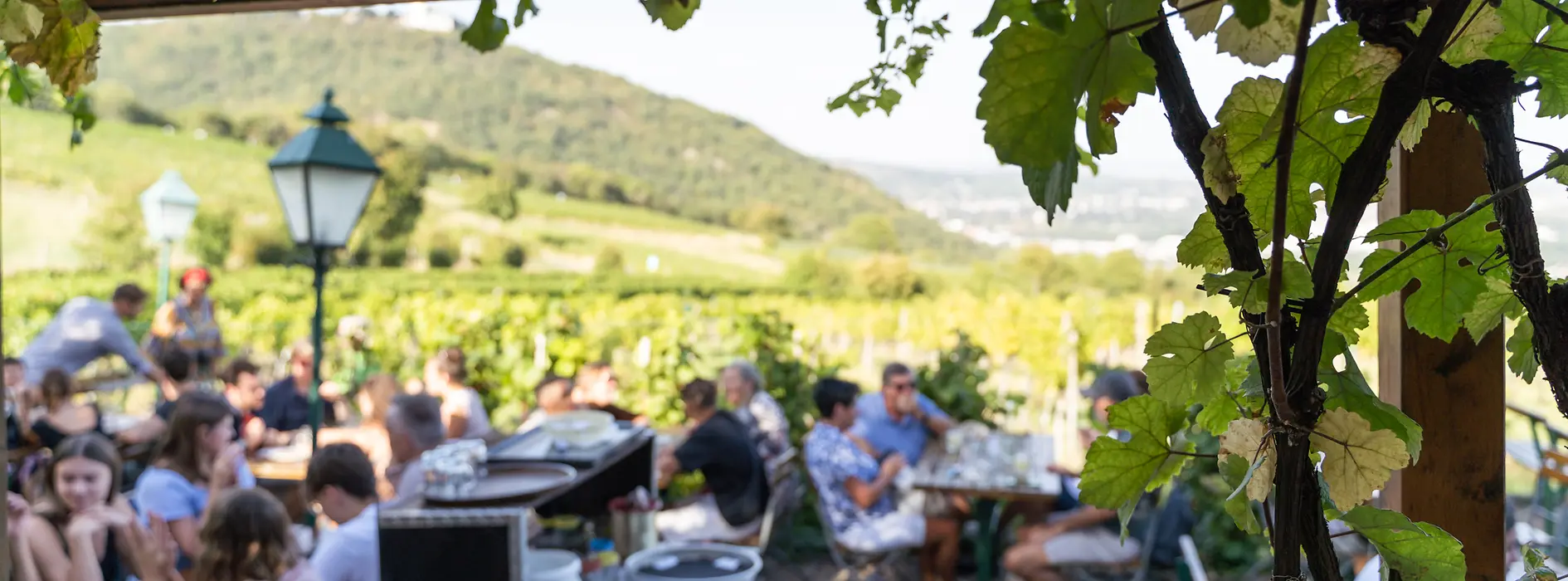 Wine tavern