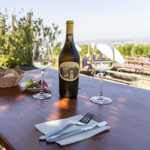 Wine tavern