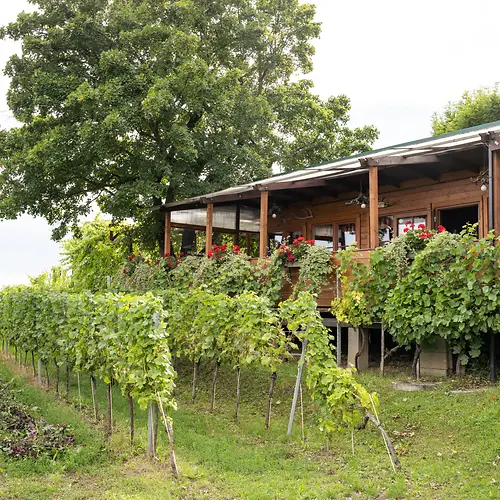 Wine tavern