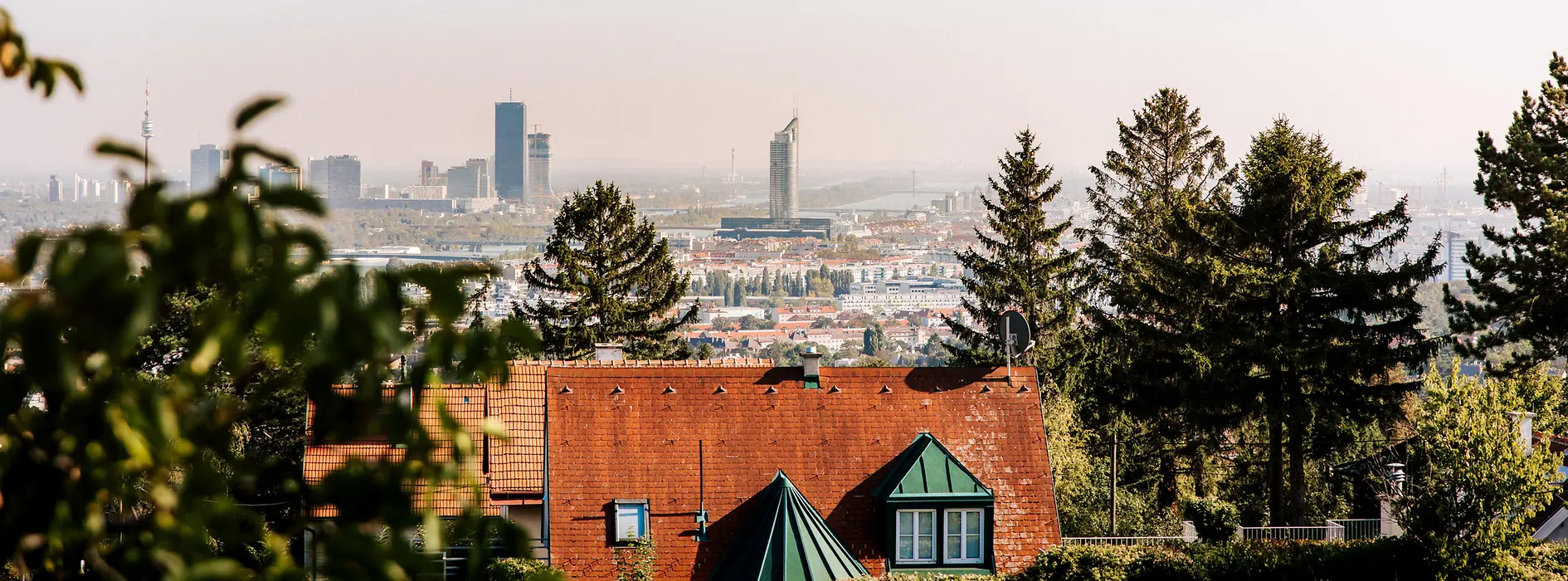 View of Vienna from Nussberg