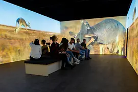Immersium museum, interactive exhibition on animals