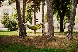 Hammock between trees in the Old AKH